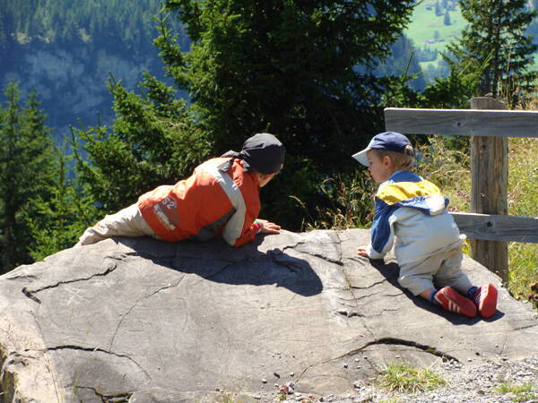 test-bild.jpg test-bild.jpg